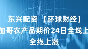 东兴配资 【环球财经】芝加哥农产品期价24日全线上涨