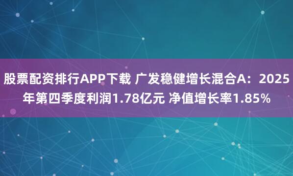 股票配资排行APP下载 广发稳健增长混合A：2025年第四季度利润1.78亿元 净值增长率1.85%